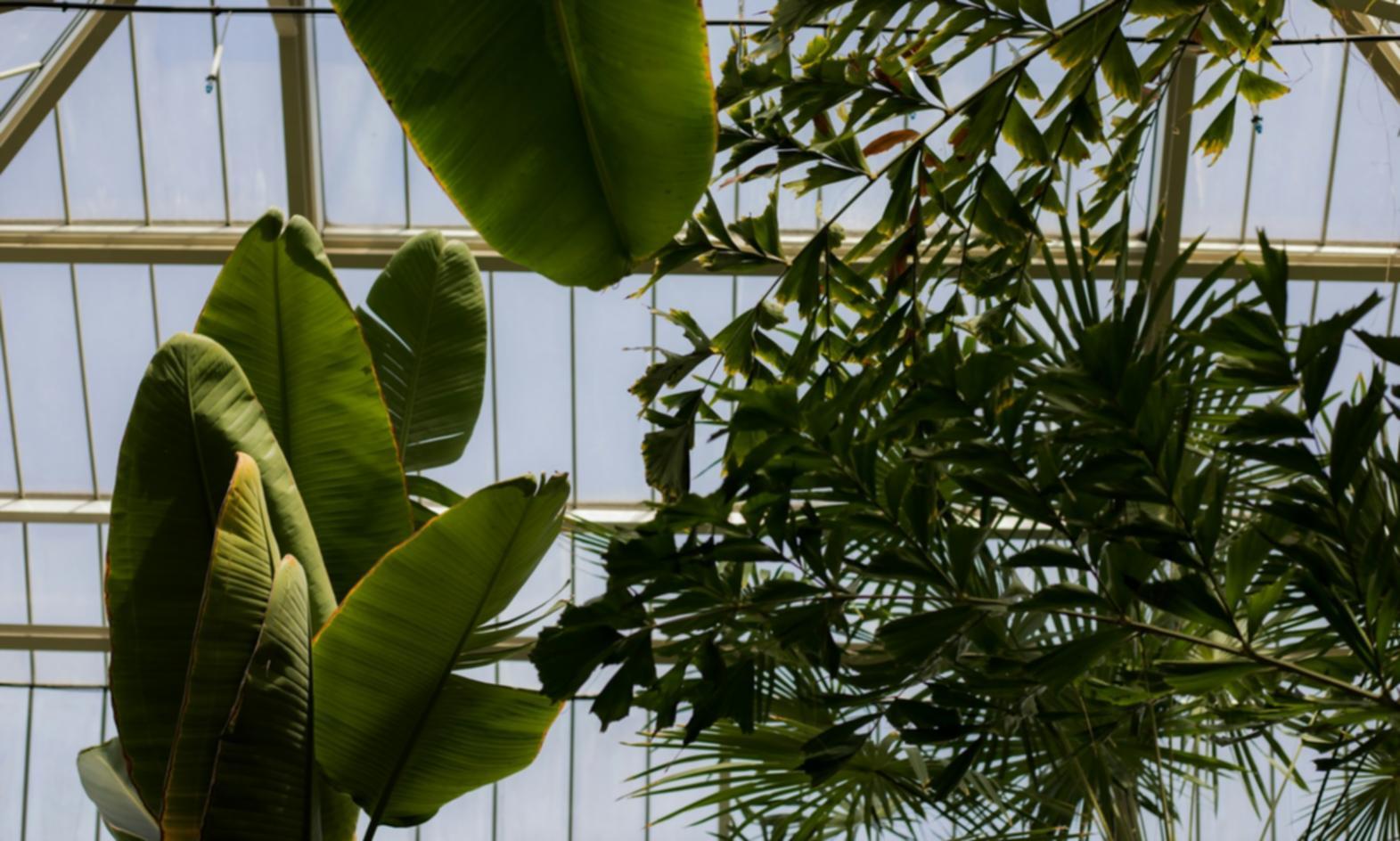 Corporate event floral installation